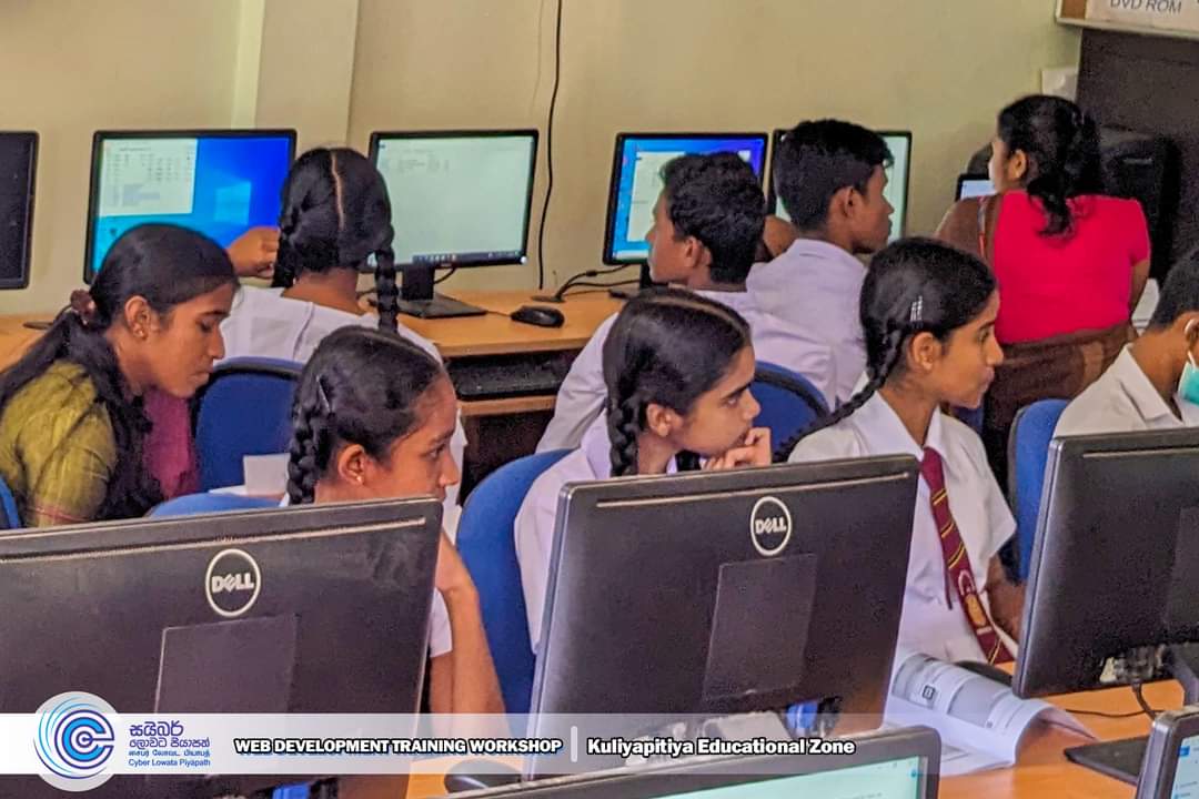 සයිබර් ලොවට පියාපත් ව්‍යාපාතිය